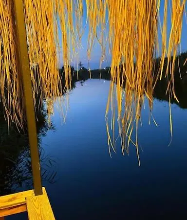 度假居 Palm
